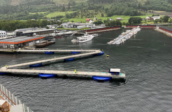 Nordfjordeid