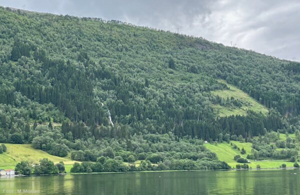 Nordfjordeid